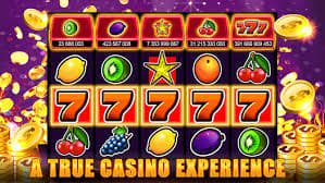 bet59511